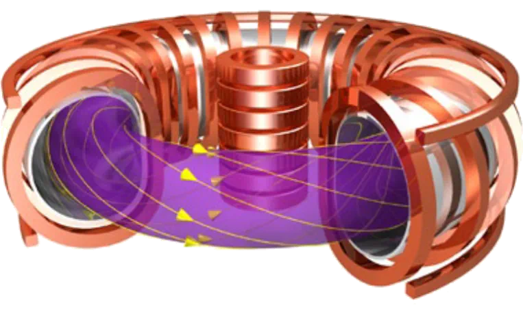 Fusion machines 1 tokamak freigestellt Fusion machines 1 tokamak freigestellt